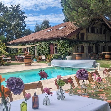 Maison Pimoli : Chambre Garance スーストン エクステリア 写真
